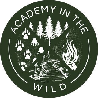 Academy in the Wild — a forest and nature school