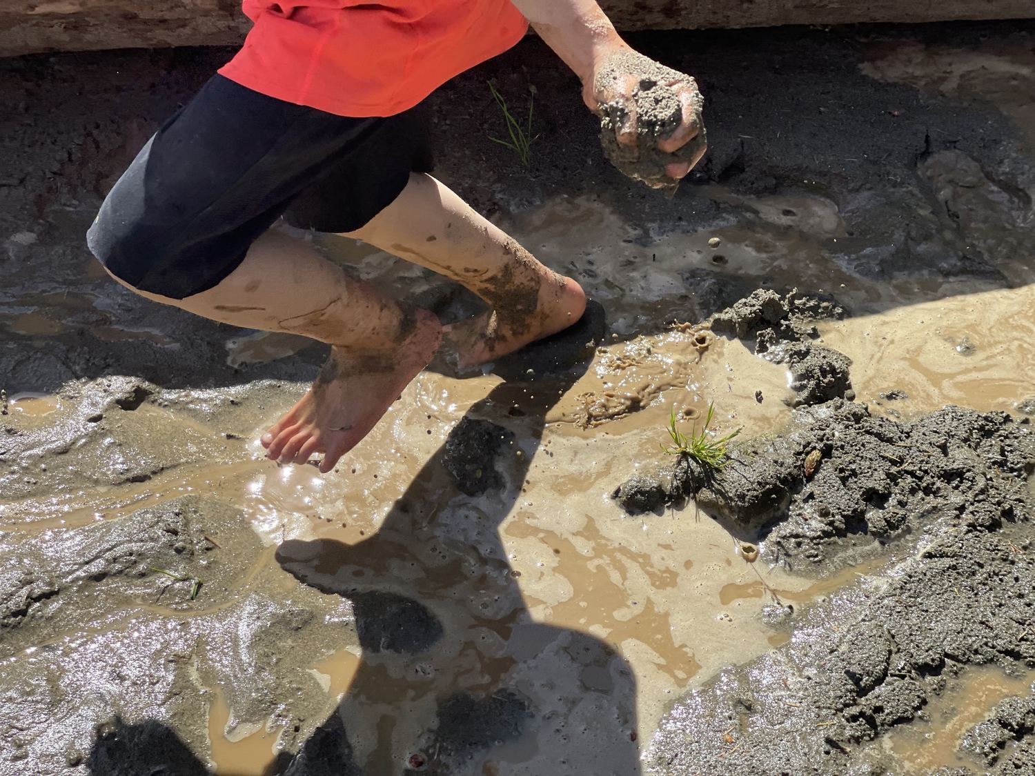 A child playing barefoot in mud and shallow water