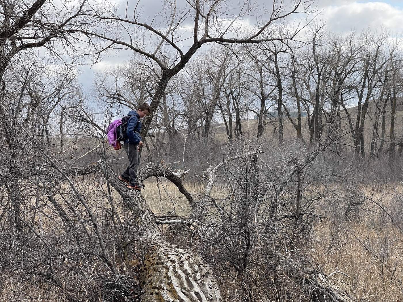 A child with a backpack balancing along a fallen log