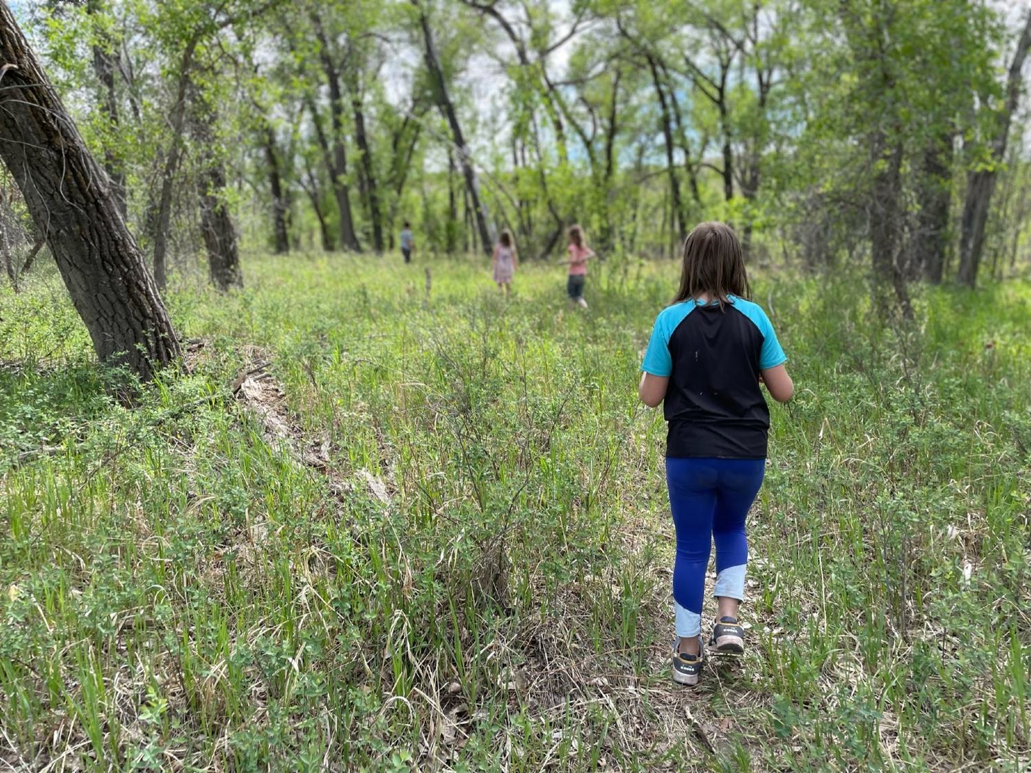 Children walking a trail through green cottonwood woods